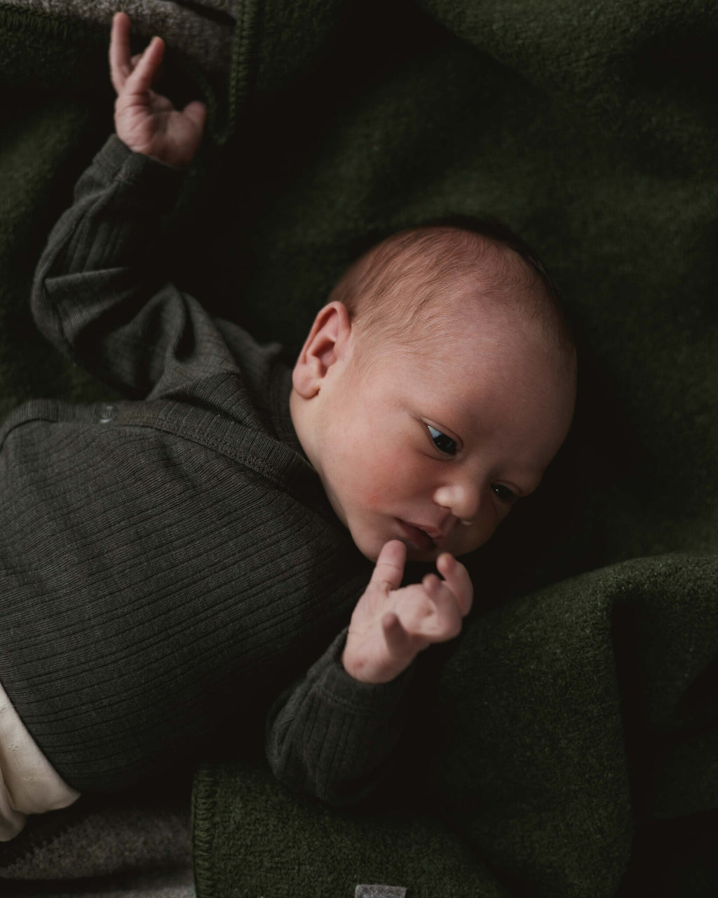 Alfie for Ziloen web-23